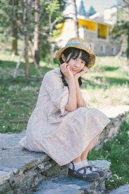 间谍过家家第三季