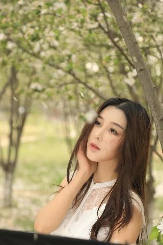 春潮烂漫海棠红