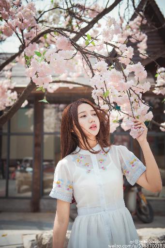 国外大片又大又好看的电视剧