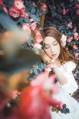 电视剧推荐2025热播的剧