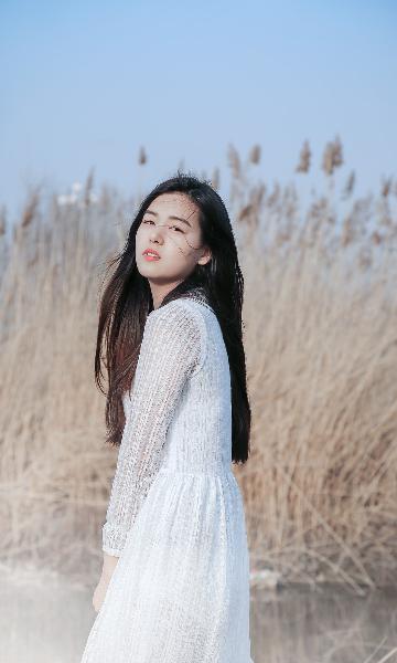 长安二十四计在线观看完整版