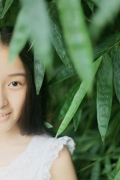 莲花楼电视剧免费观看完整版