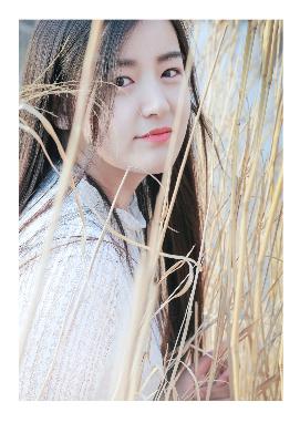 楚汉传奇1-80全集完整版