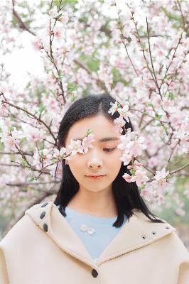 大地资源三在线观看免费高清电视