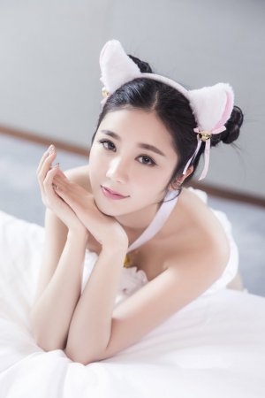 三分野电视剧免费观看完整版高清