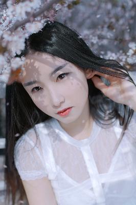 北上电视剧免费观看全集完整版