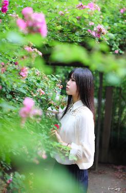 2025中文在线字幕免费观看电视剧