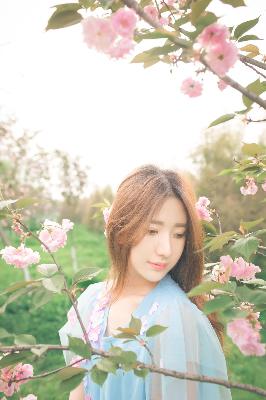 神墓年番在线观看完整版免费