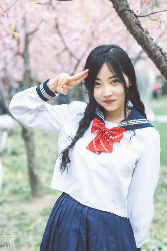 花房姑娘国语免费观看电视剧