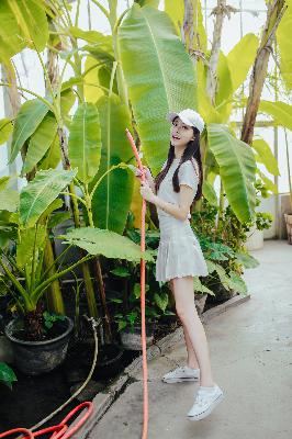 玫瑰的故事免费观看完整版