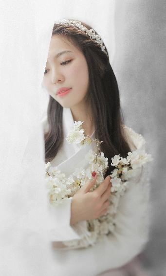 影视版权申请流程及费用